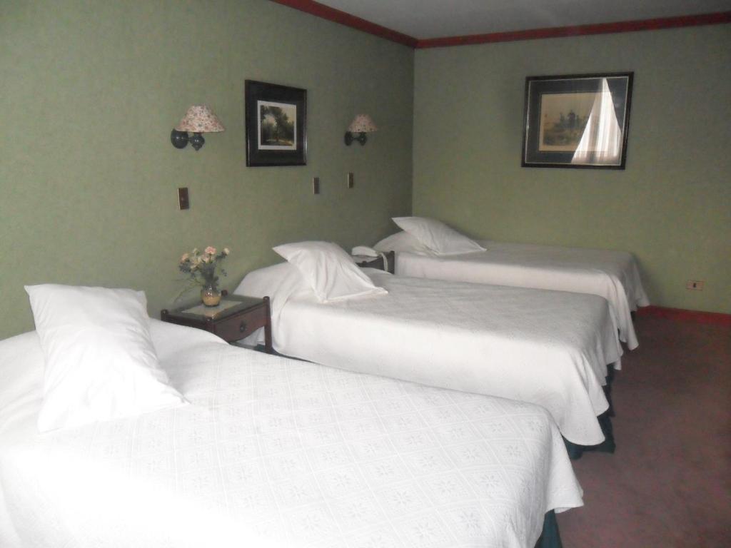 Hotel Isla Rey Jorge Punta Arenas Extérieur photo